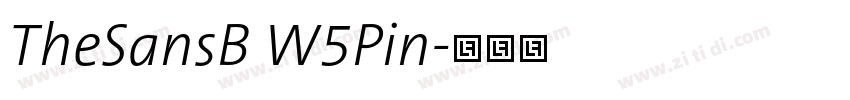 TheSansB W5Pin字体转换